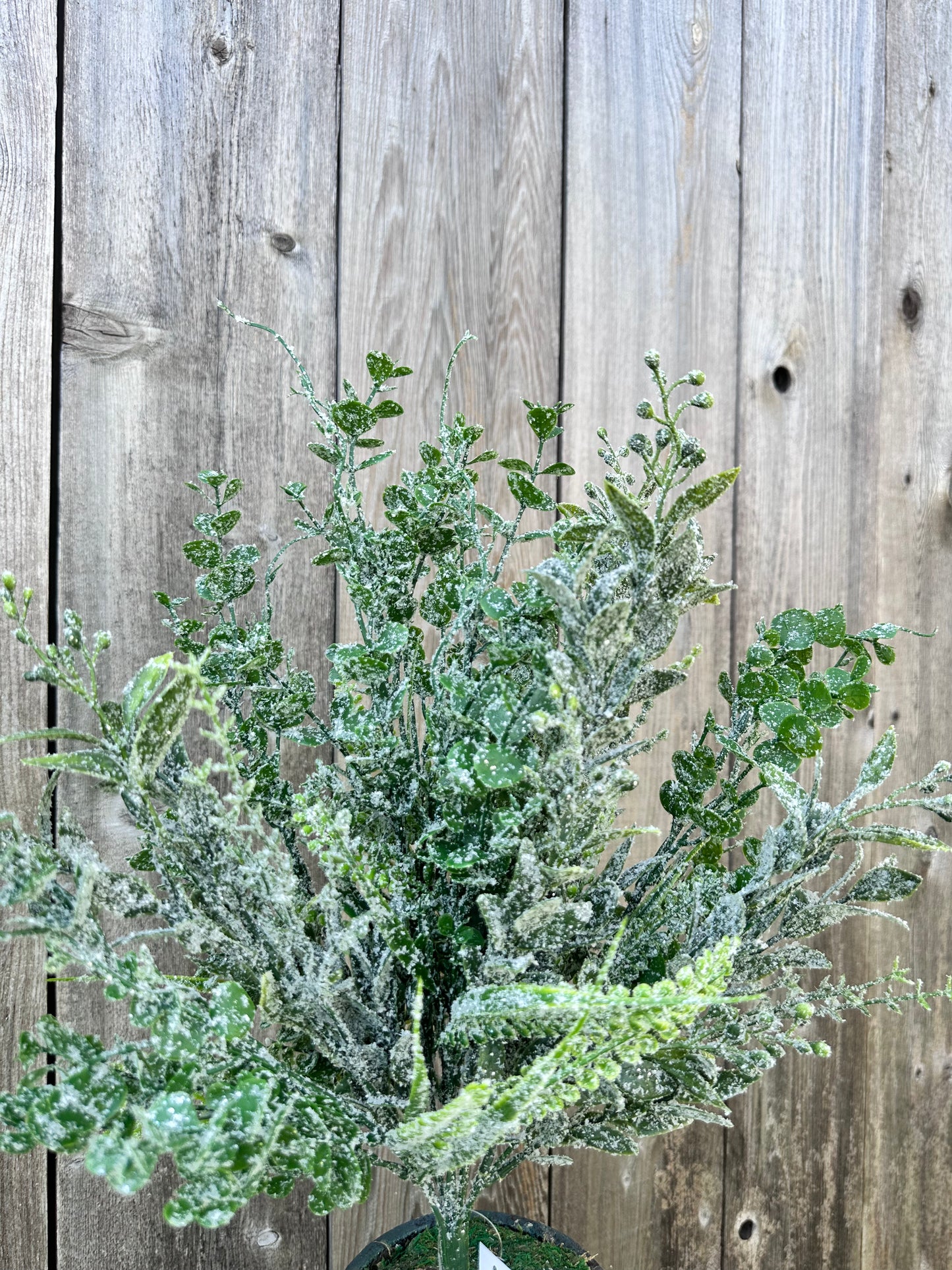 MIXED GREENERY W ICED    85265
