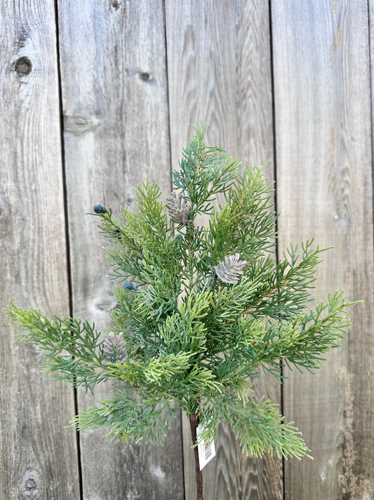 CEDAR SPRAY   85199