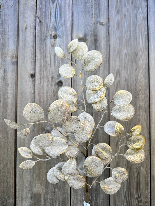 EUCALYPTUS LEAF SPRAY   32140