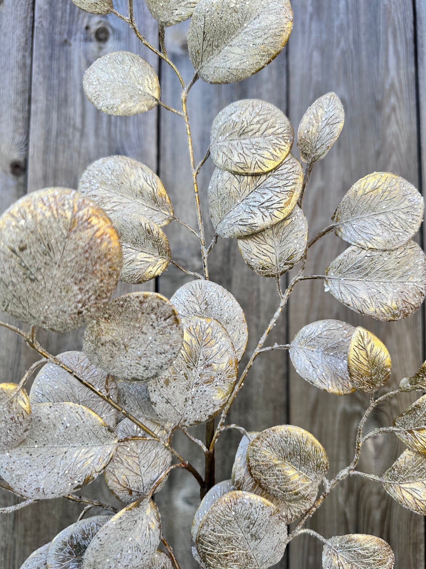 EUCALYPTUS LEAF SPRAY   32140