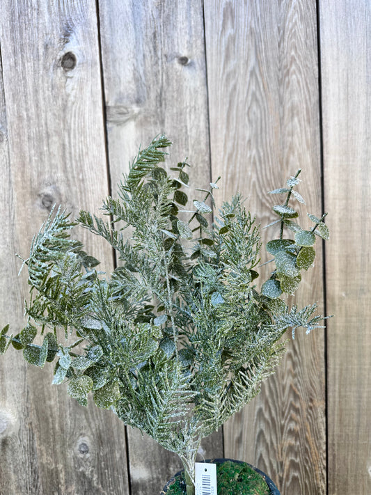 ICED MIXED PINE CEDAR  83249