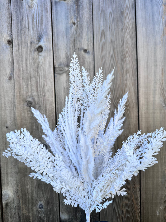 PAMPAS BUSH    40368