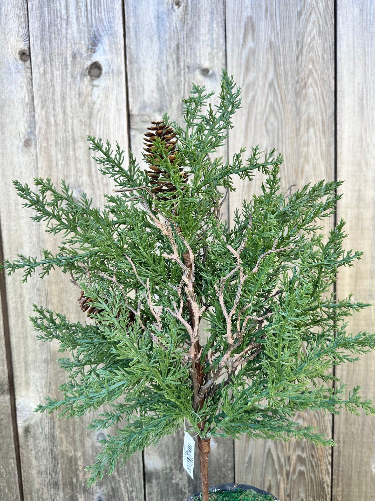 PINE & CONE BUSH   32131