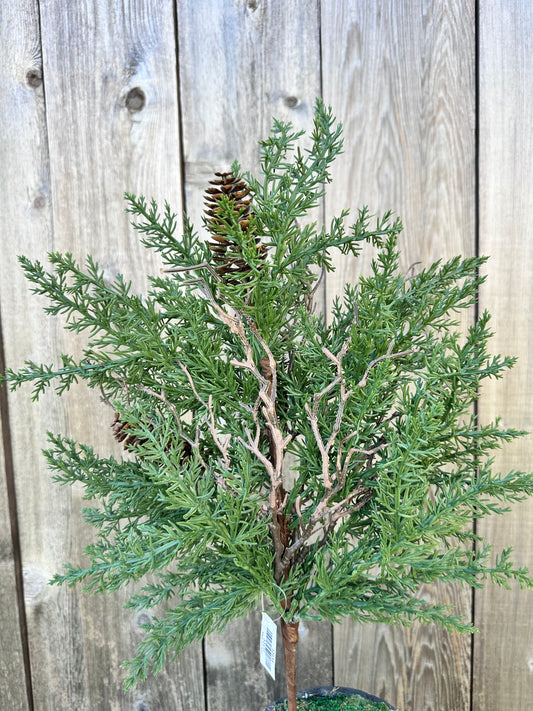 PINE & CONE BUSH   32131