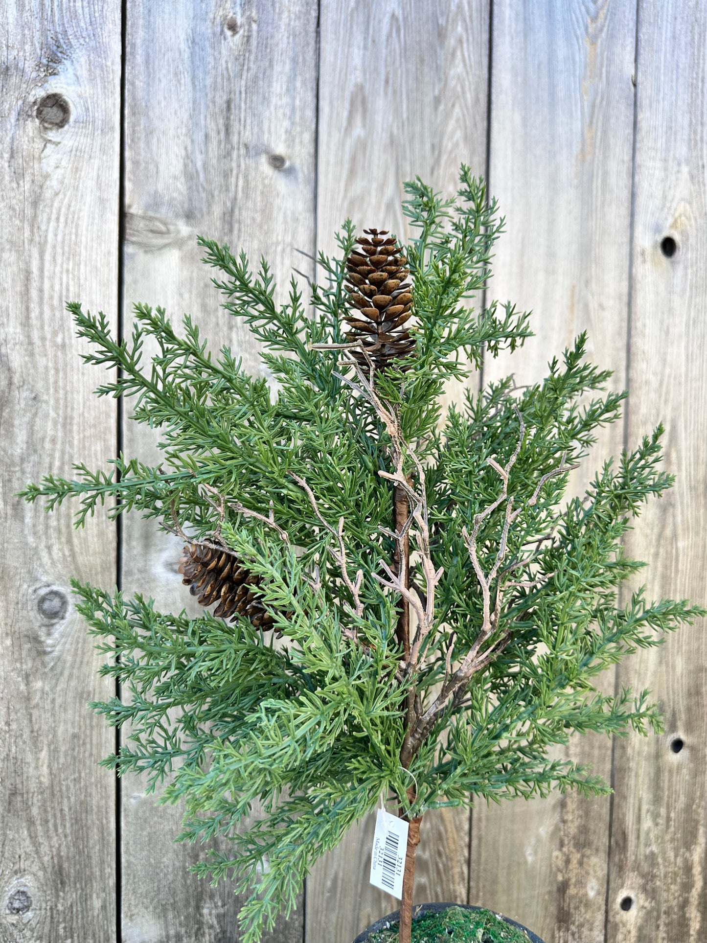 PINE & CONE BUSH   32131