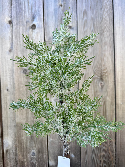 SNOW CEDAR PICK   23007