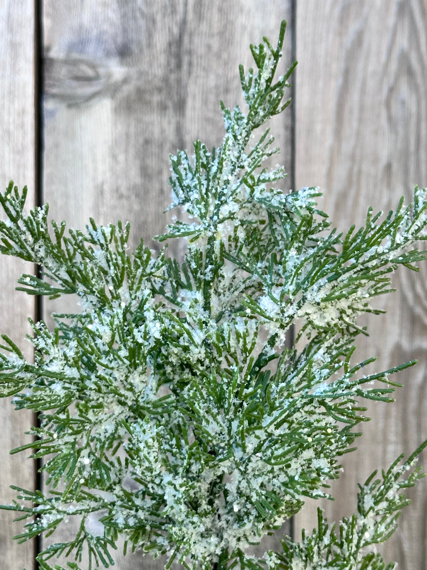 SNOW CEDAR PICK   23007
