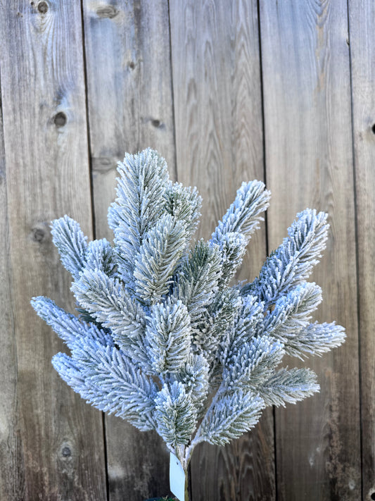 PINE BUSH  W SNOW    83657