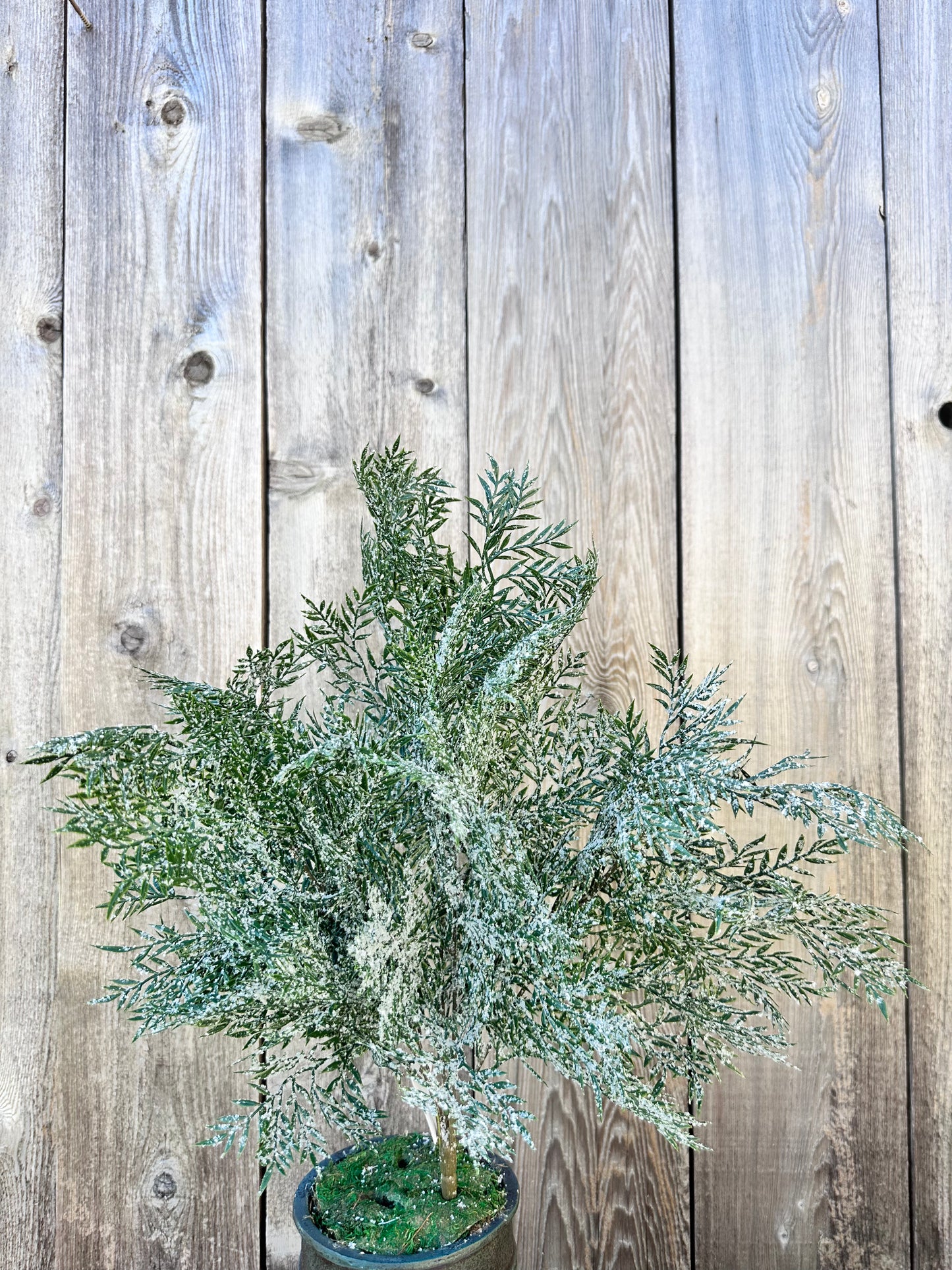 PLASTIC LEAF W ICED BUSH    85257