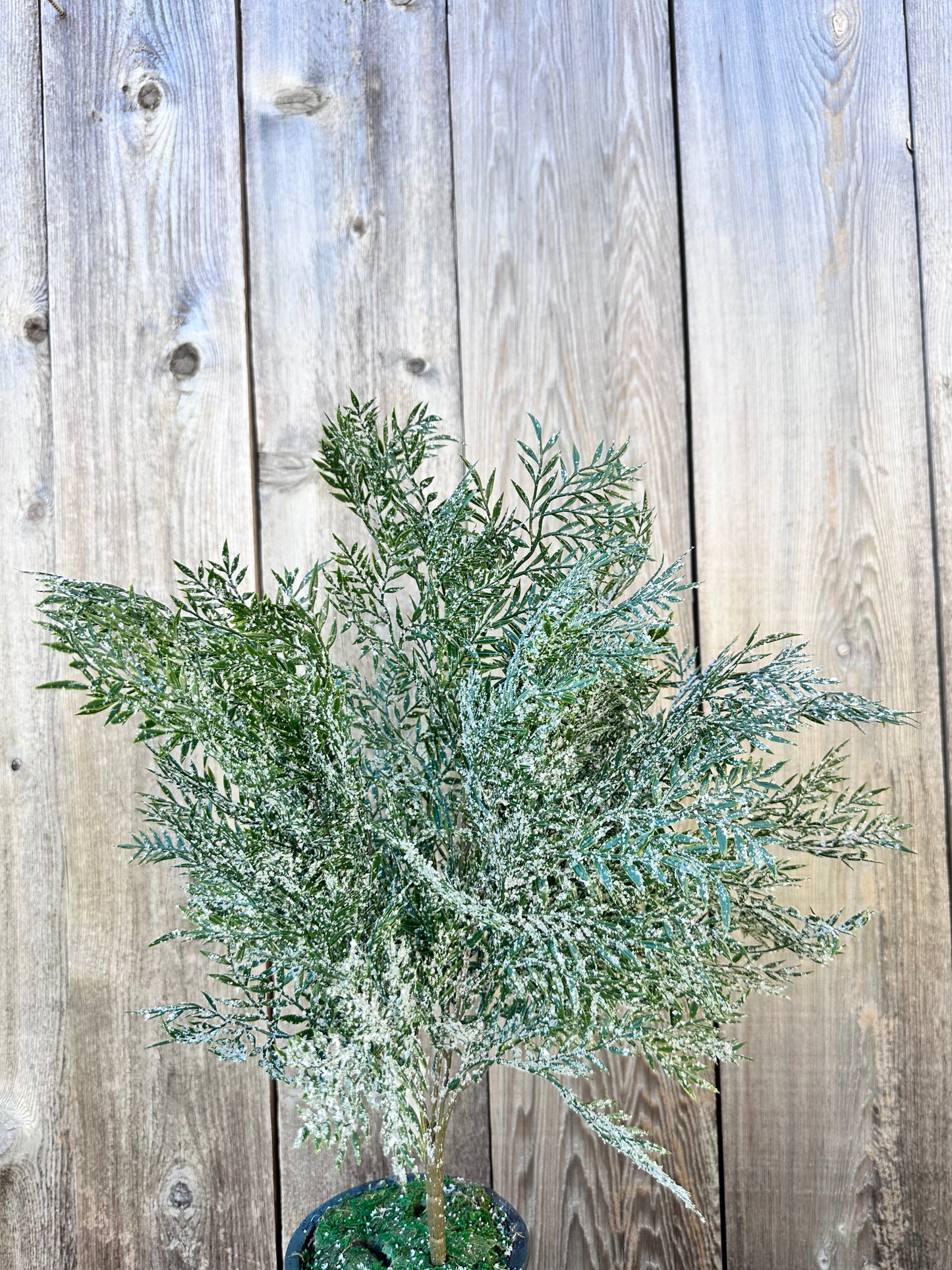 PLASTIC LEAF W ICED BUSH    85257
