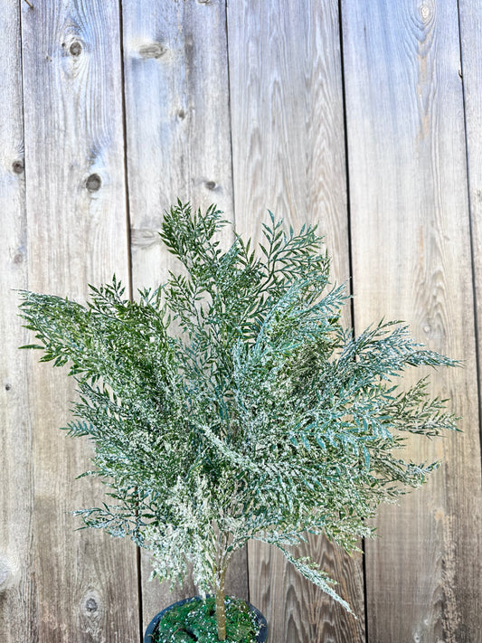 PLASTIC LEAF W ICED BUSH    85257