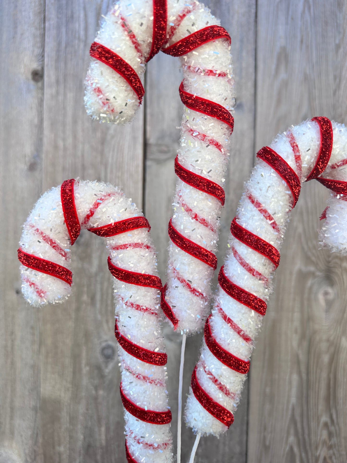 GLITTER PEPPERMINT   65301