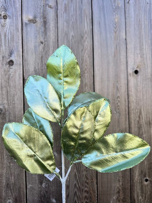 MAGNOLIA LEAF SPRAY    85103-GN