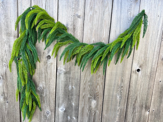 SOFT TOUCH NORFOLK PINE   23034