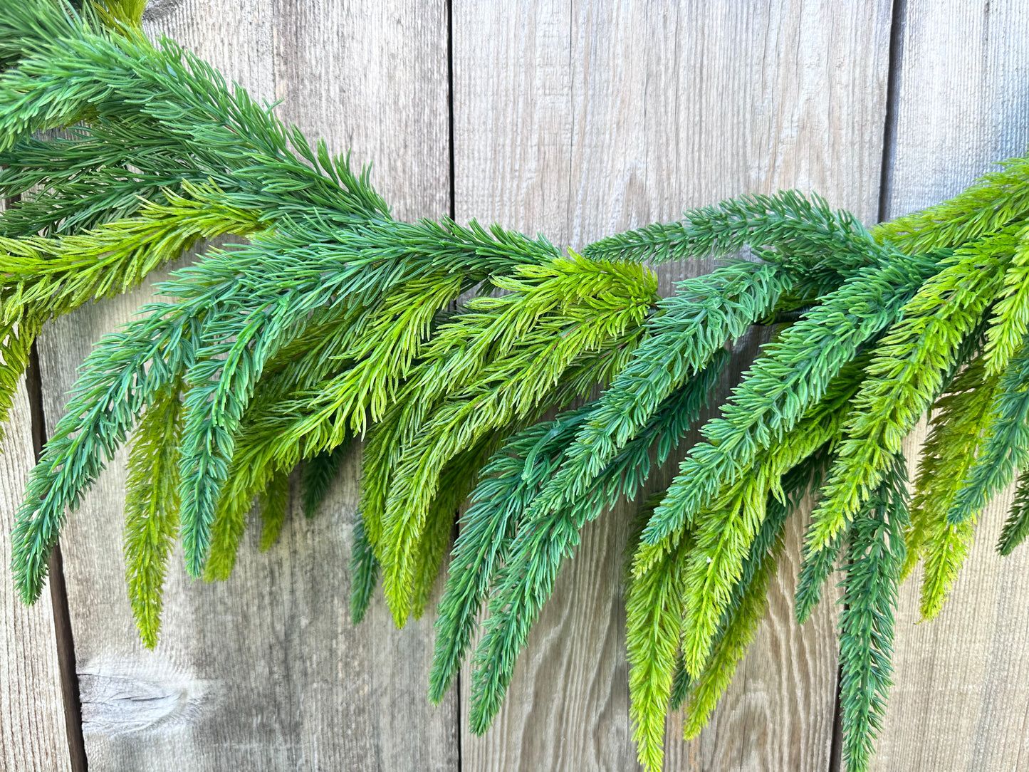 SOFT TOUCH NORFOLK PINE   23034