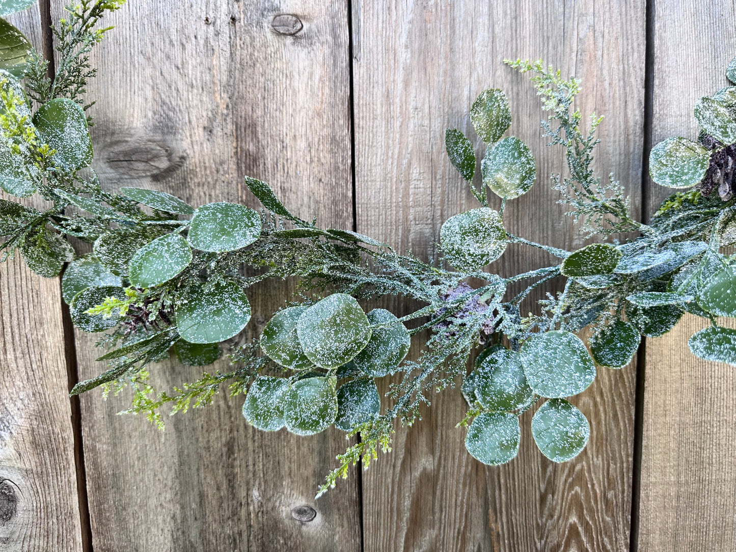 EUCALYPTUS CEDAR   83665