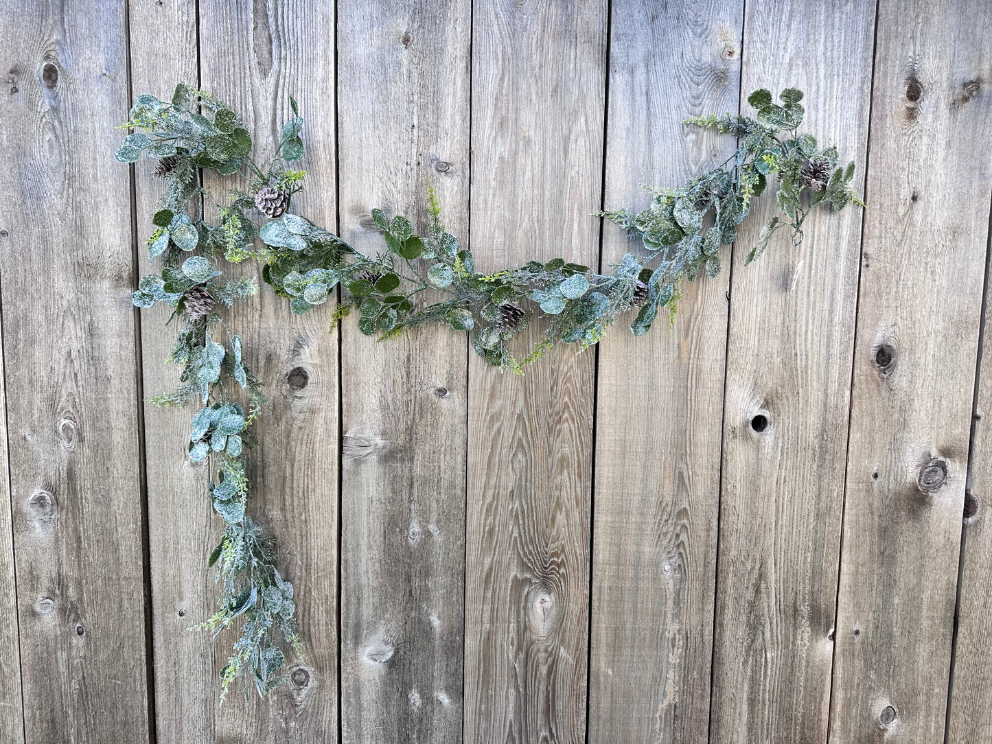 EUCALYPTUS CEDAR   83665