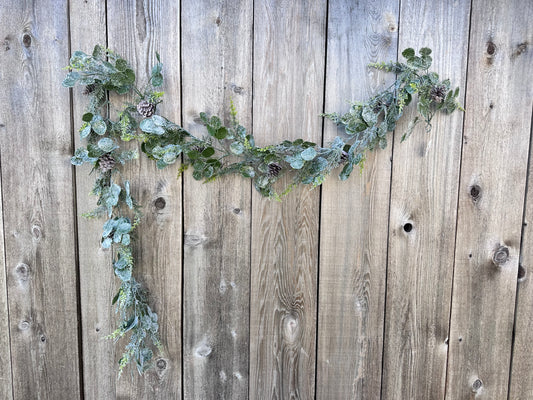 EUCALYPTUS CEDAR   83665