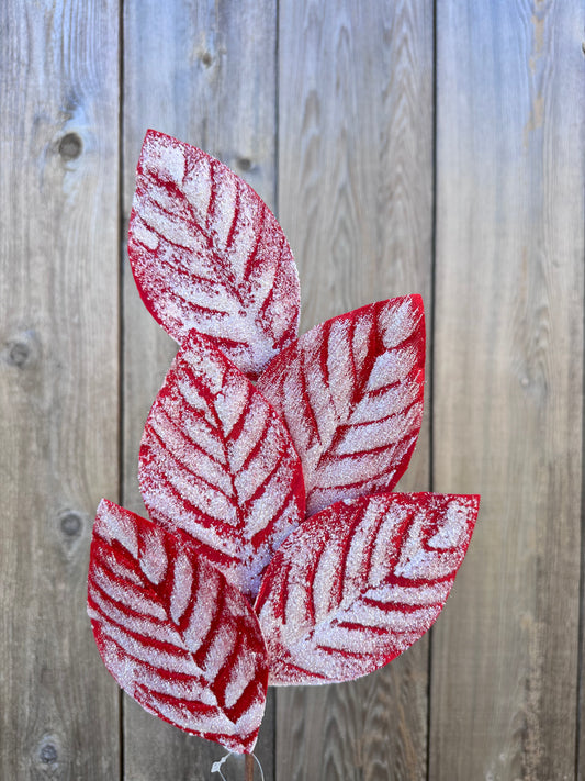 FROZEN CHRISTMAS MAGNOLIA LEAF SPRAY-RED   DC22563RD