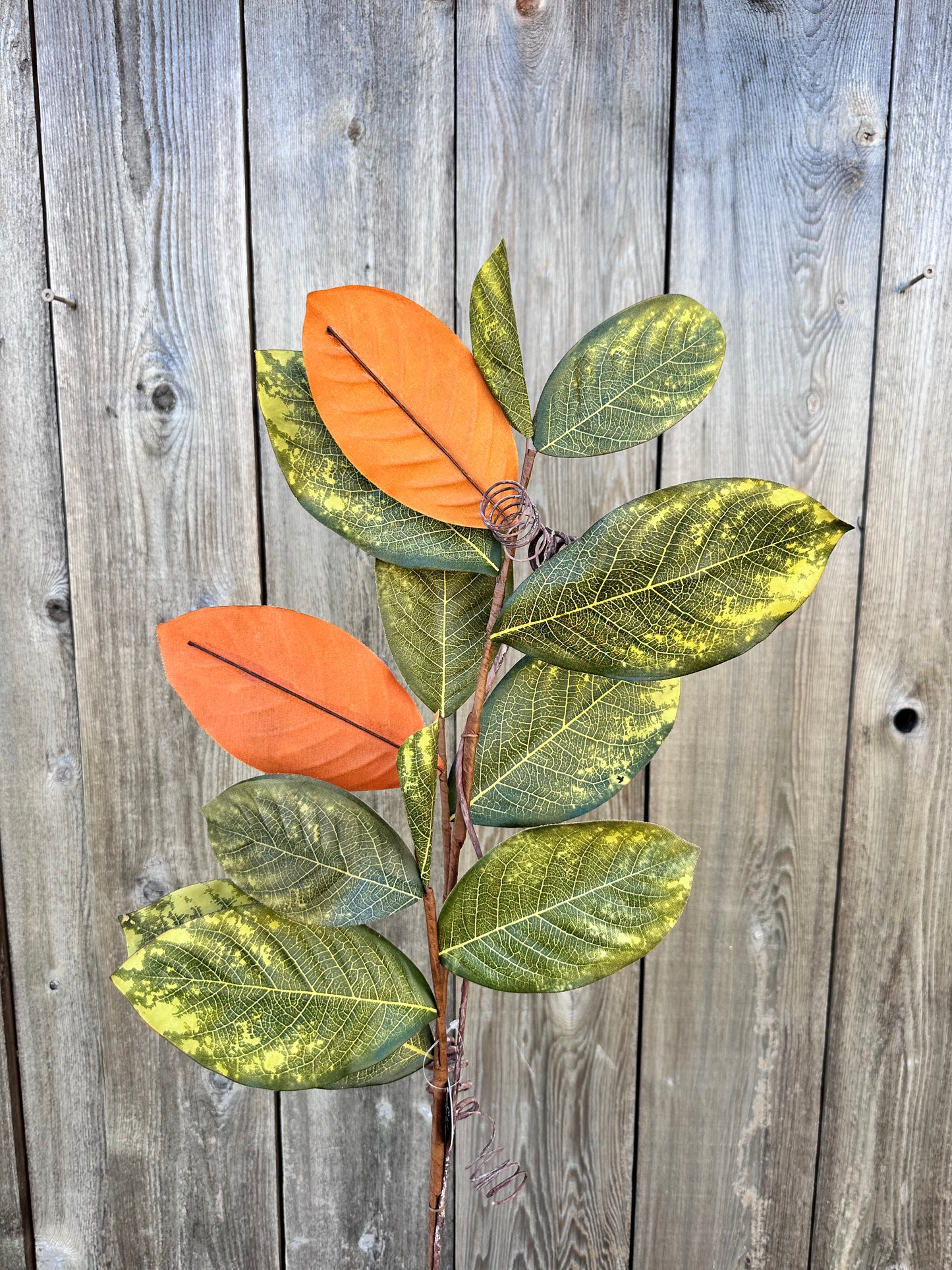 39" MAGNOLIA LEAF BRANCH   DC19211