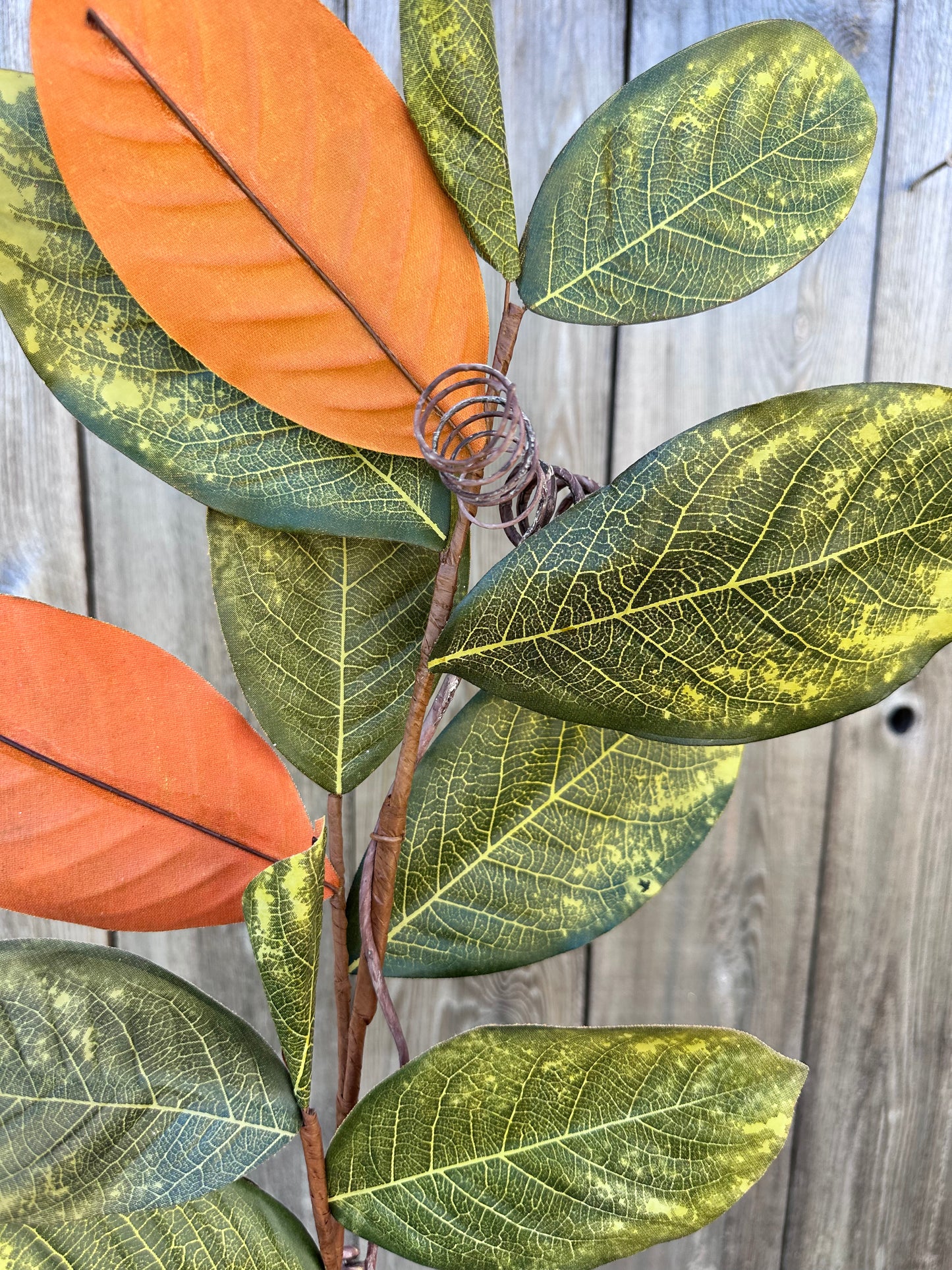 39" MAGNOLIA LEAF BRANCH   DC19211