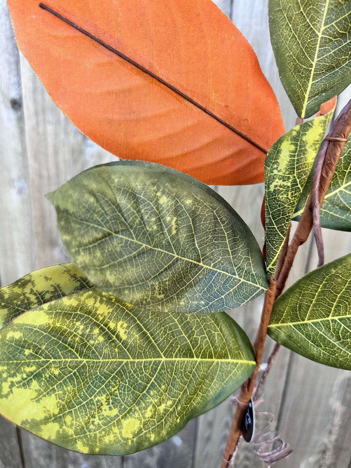 39" MAGNOLIA LEAF BRANCH   DC19211