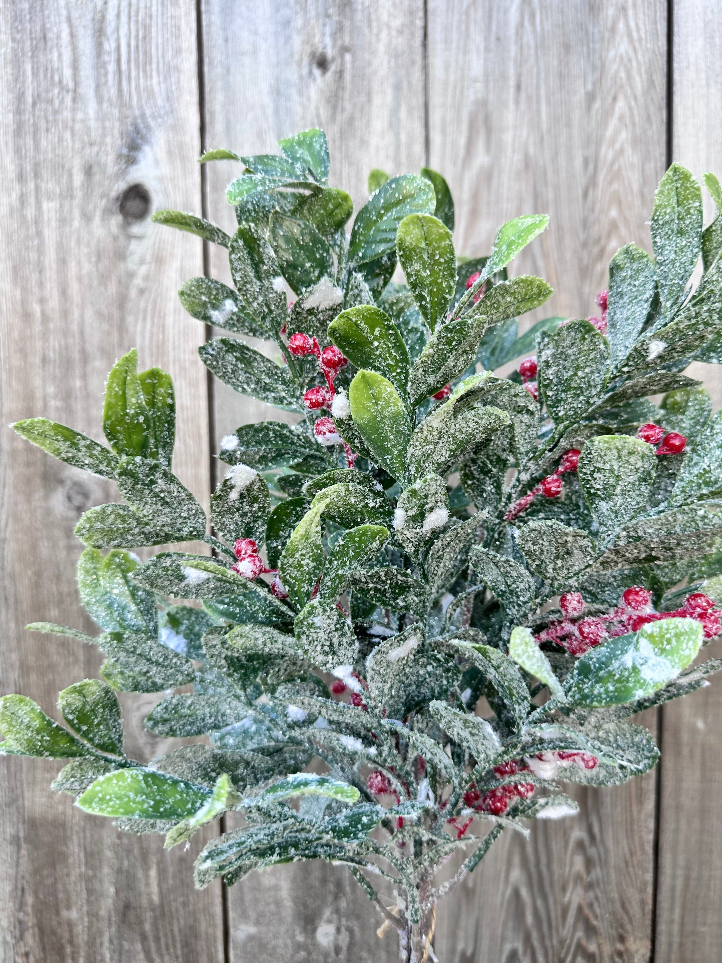 HOLLY JOLLY GREENS BUNDLE  XJ7038