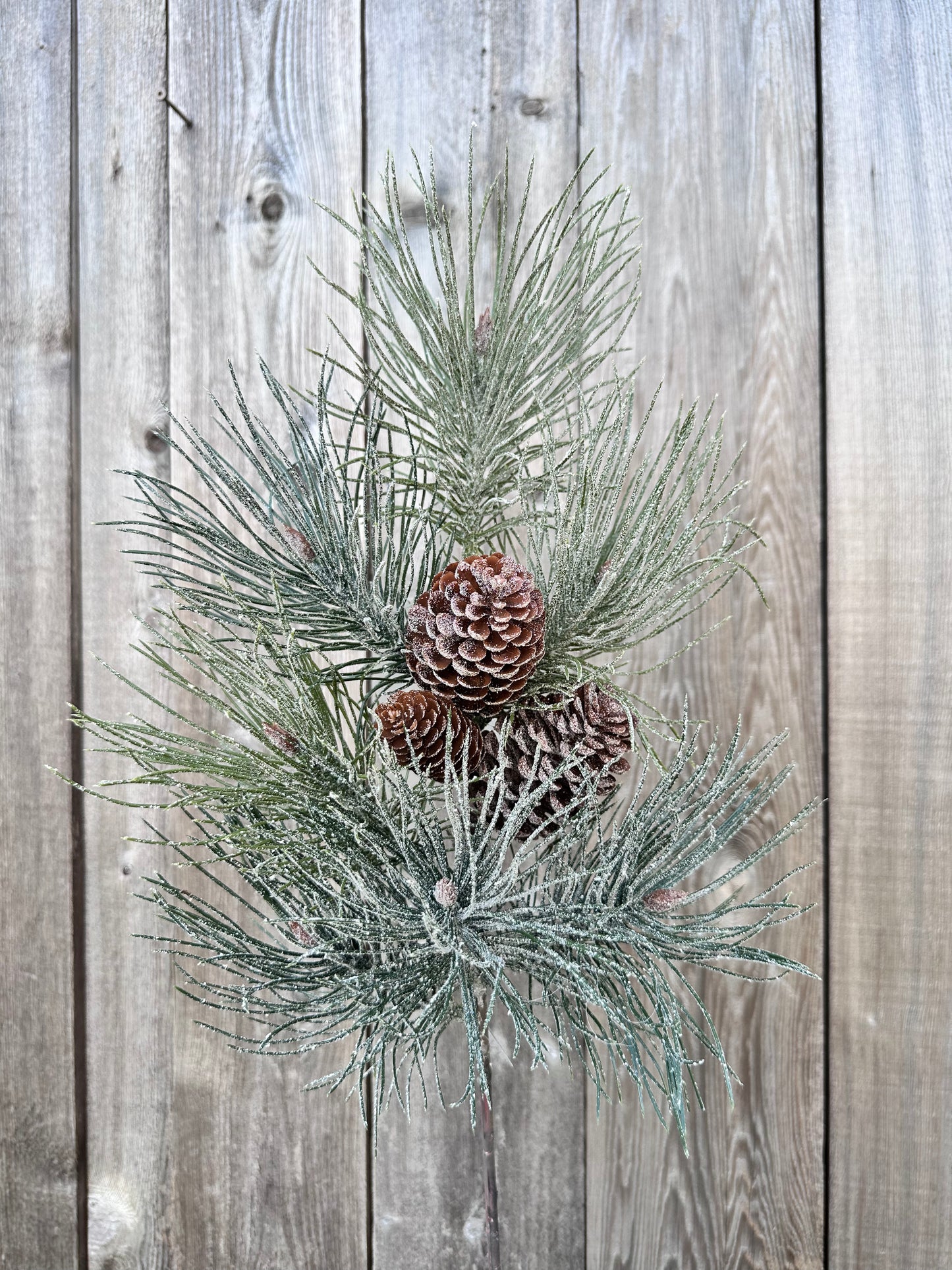 FROSTED EMPEROR PINE SPRAY  XJ7067