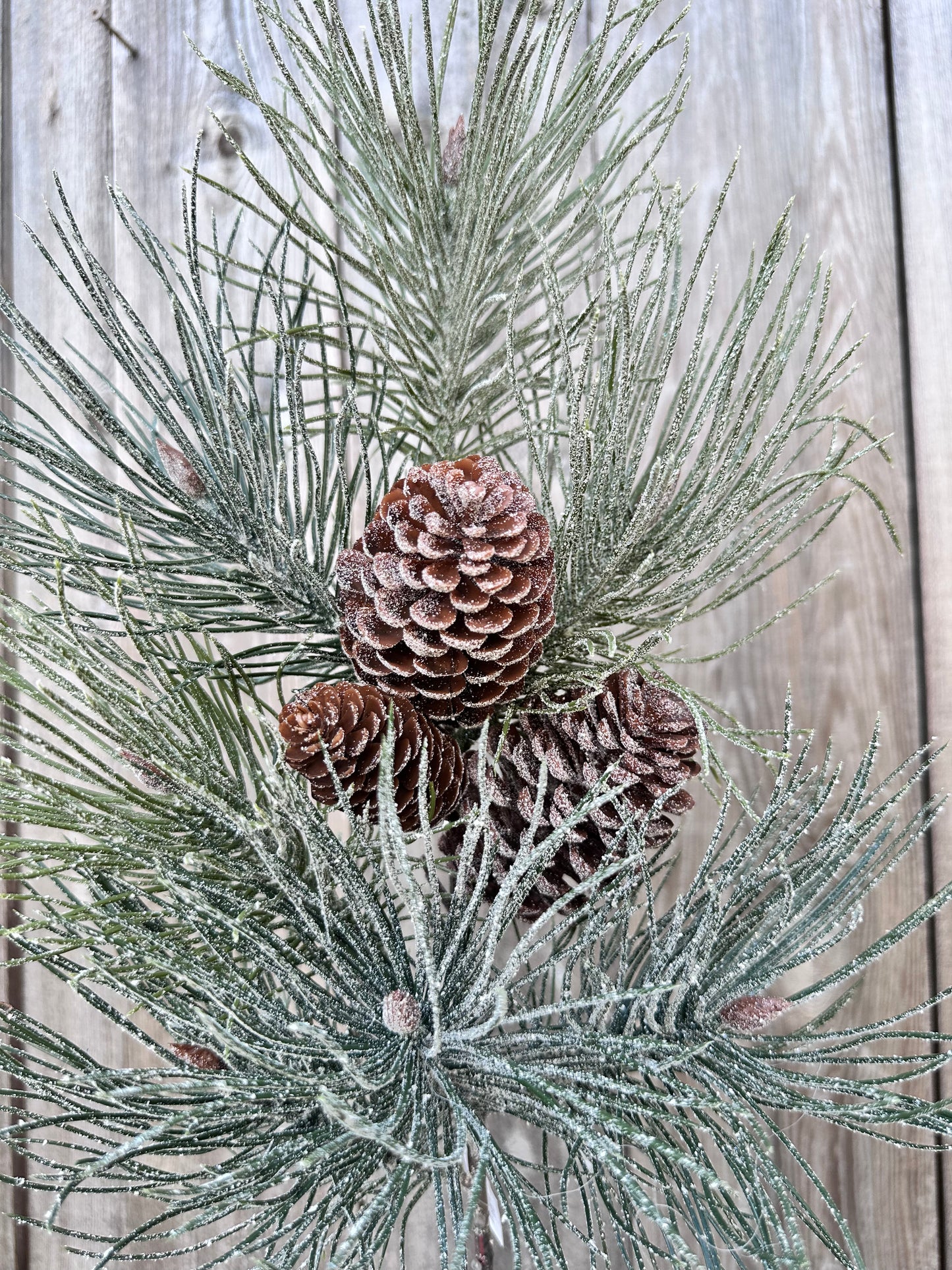 FROSTED EMPEROR PINE SPRAY  XJ7067
