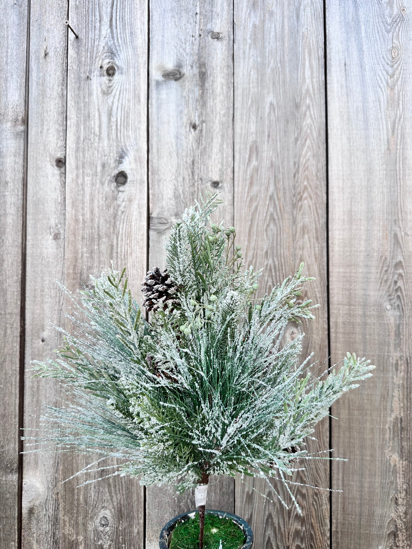 WISHING WILDERNESS FIR SPRAY  XQB1015