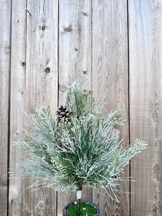 WISHING WILDERNESS FIR SPRAY  XQB1015
