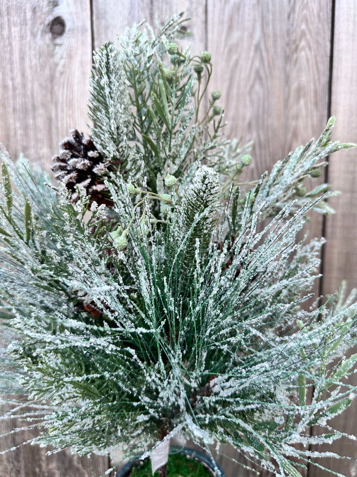 WISHING WILDERNESS FIR SPRAY  XQB1015