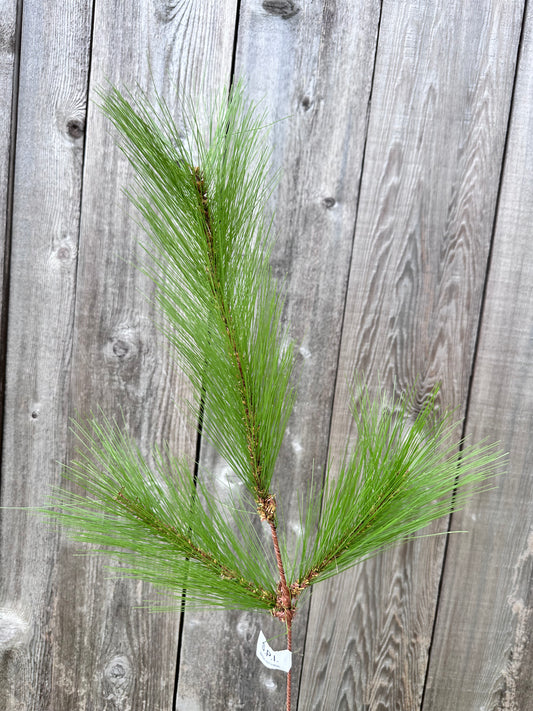 24" LONG NEEDLE PINE SPRAY   CVS200G