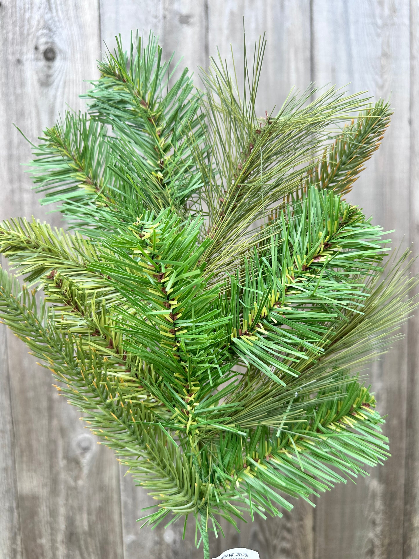STAR PINE SPRAY   CVS006