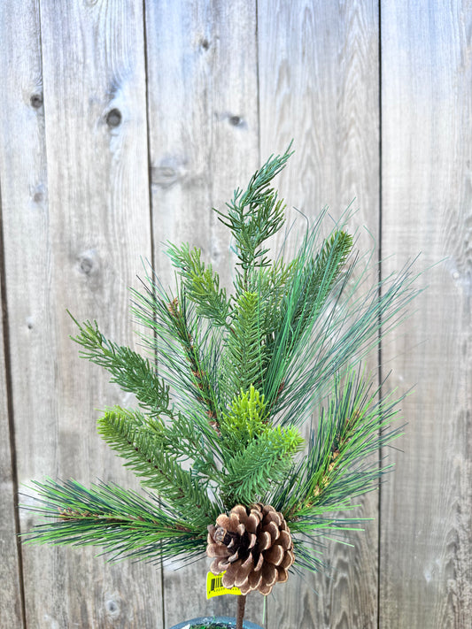 Austen Pine Pick H18         86167SP18