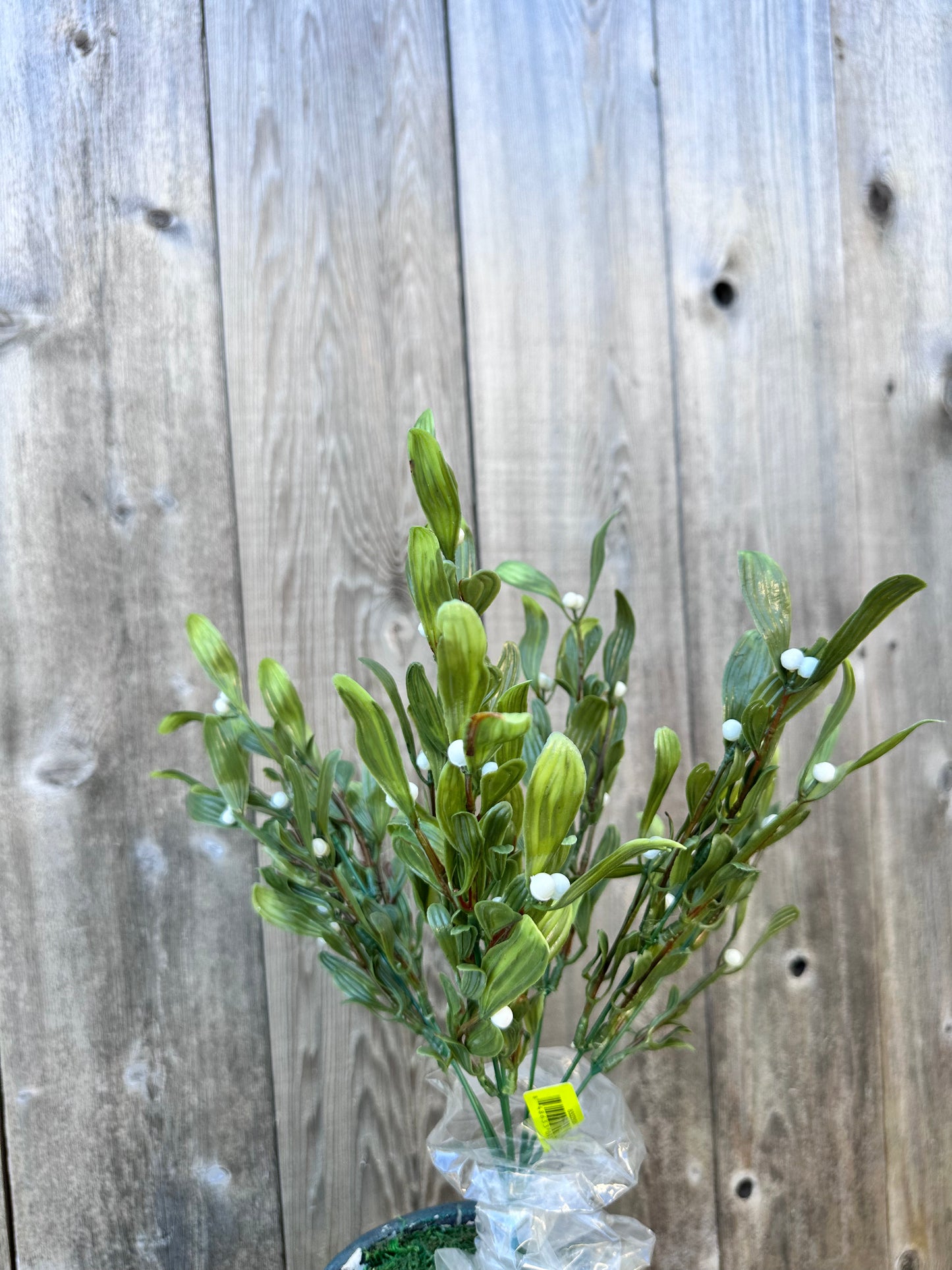 Plastic Mistletoe Bush   83223GN