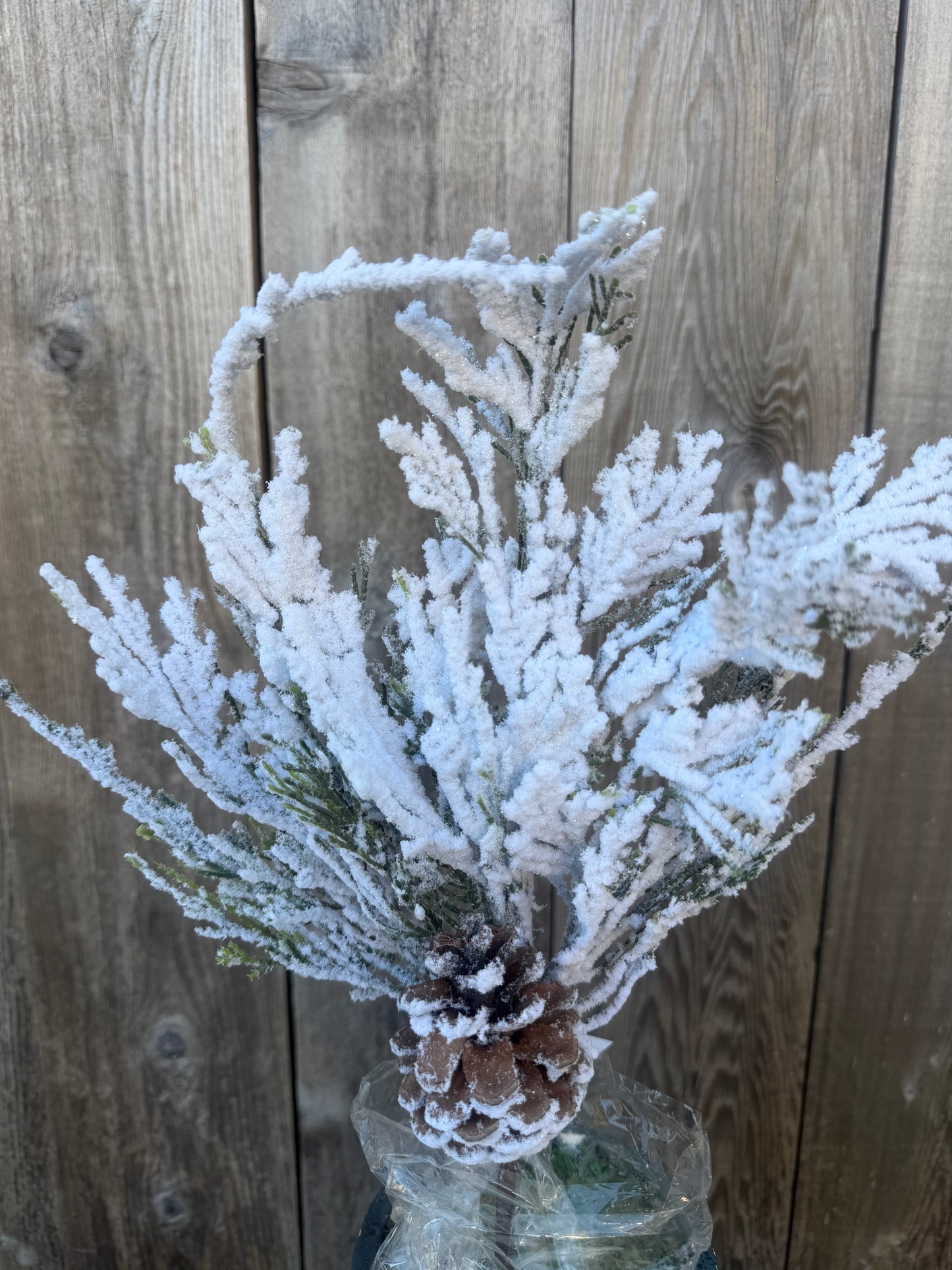 SNOW CEDAR PINECONE   82885