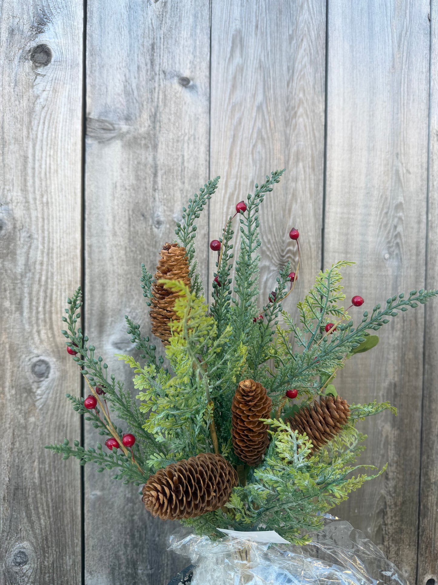 CEDAR PINECONE MIXED    64306
