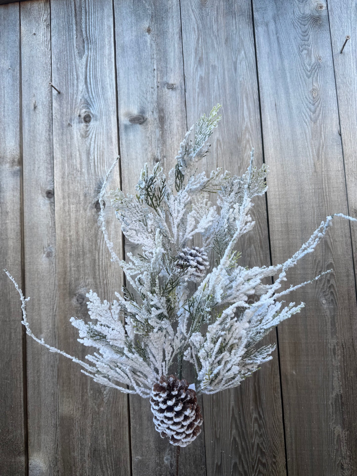 SNOW CEDAR PINECONE   82886