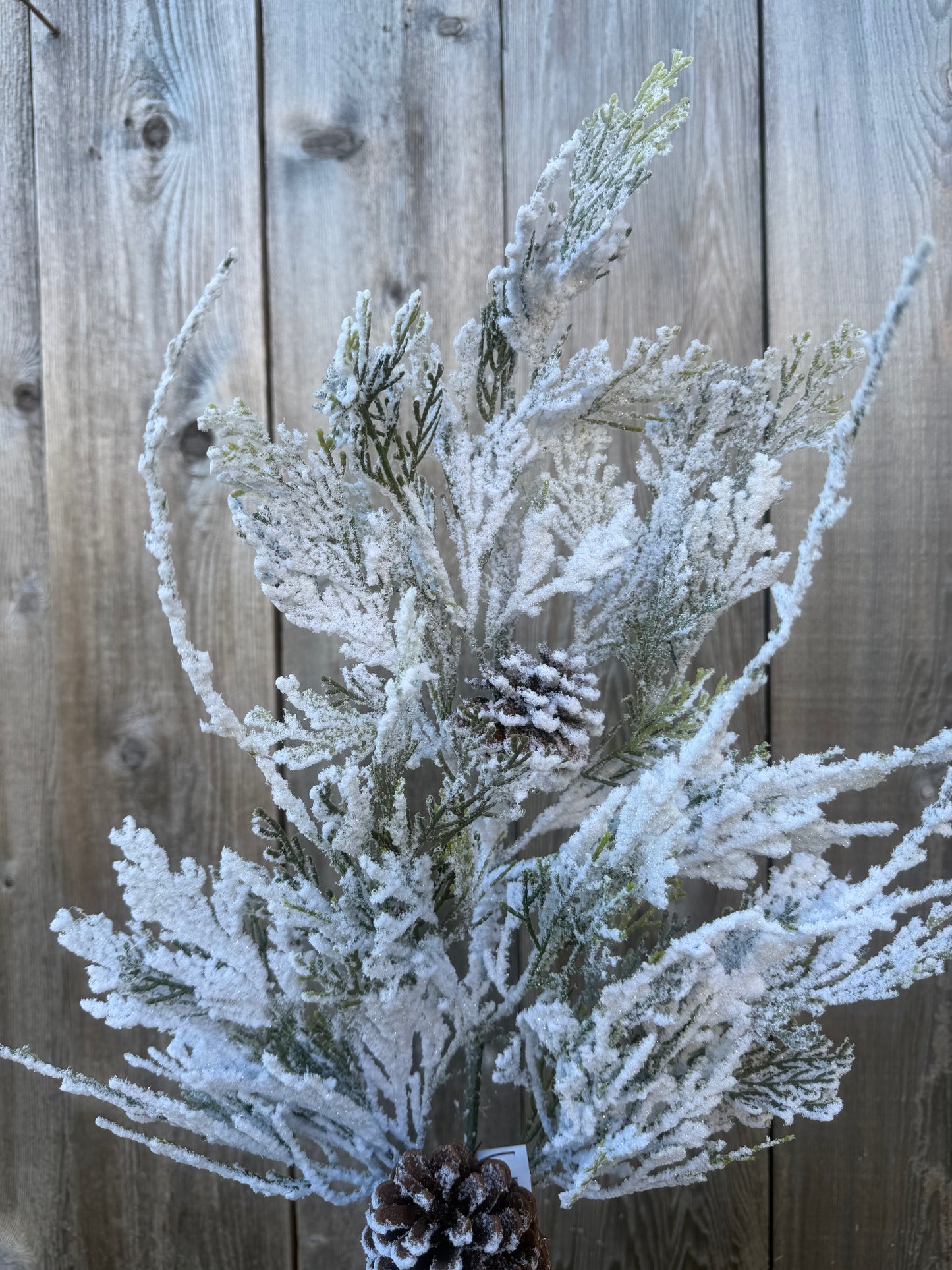 SNOW CEDAR PINECONE   82886