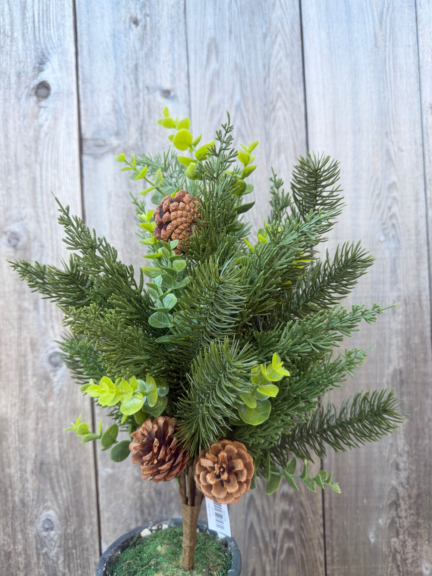 HAND WRAPPED PINE BUSH   85278