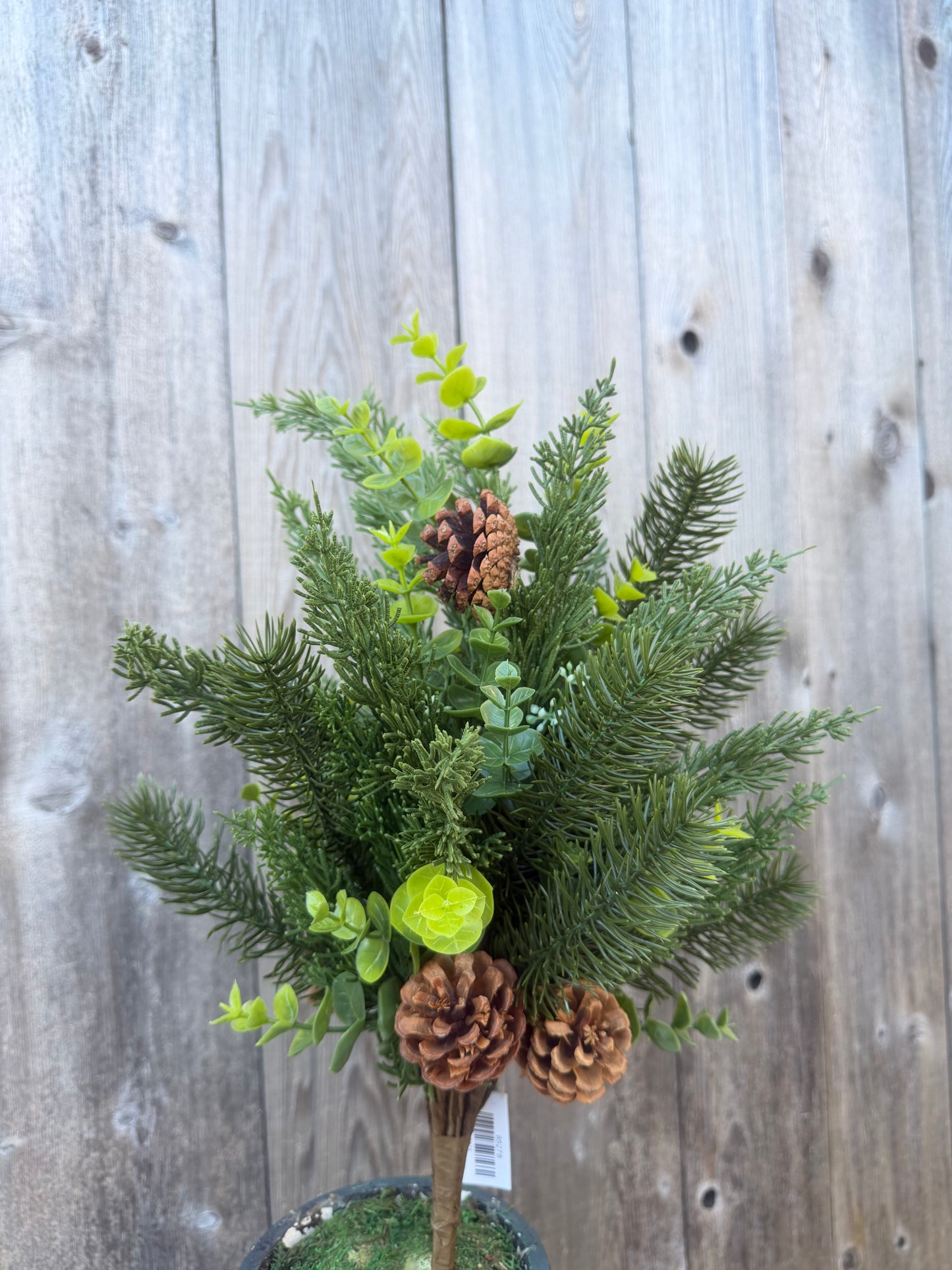 HAND WRAPPED PINE BUSH   85278