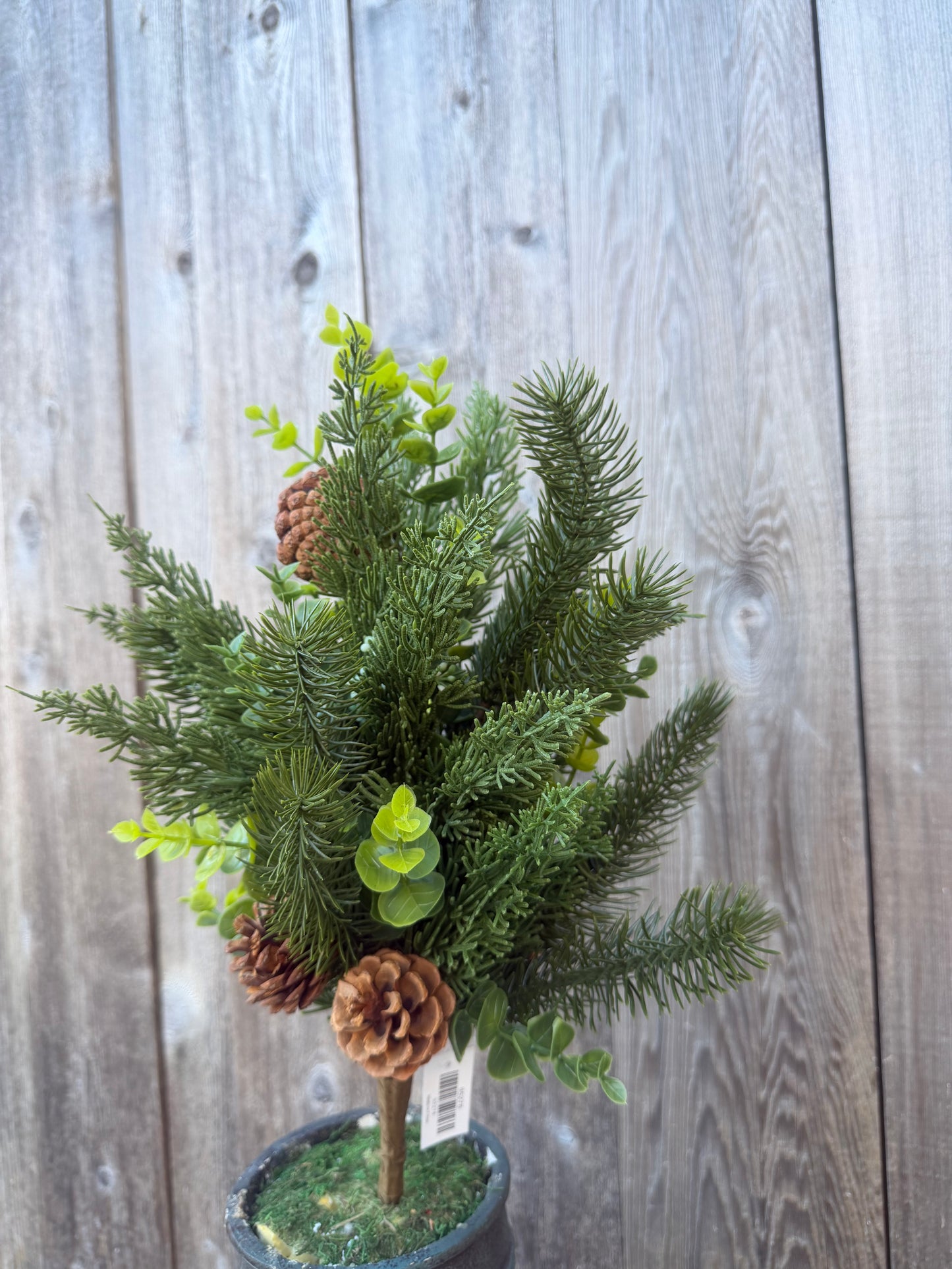 HAND WRAPPED PINE BUSH   85278