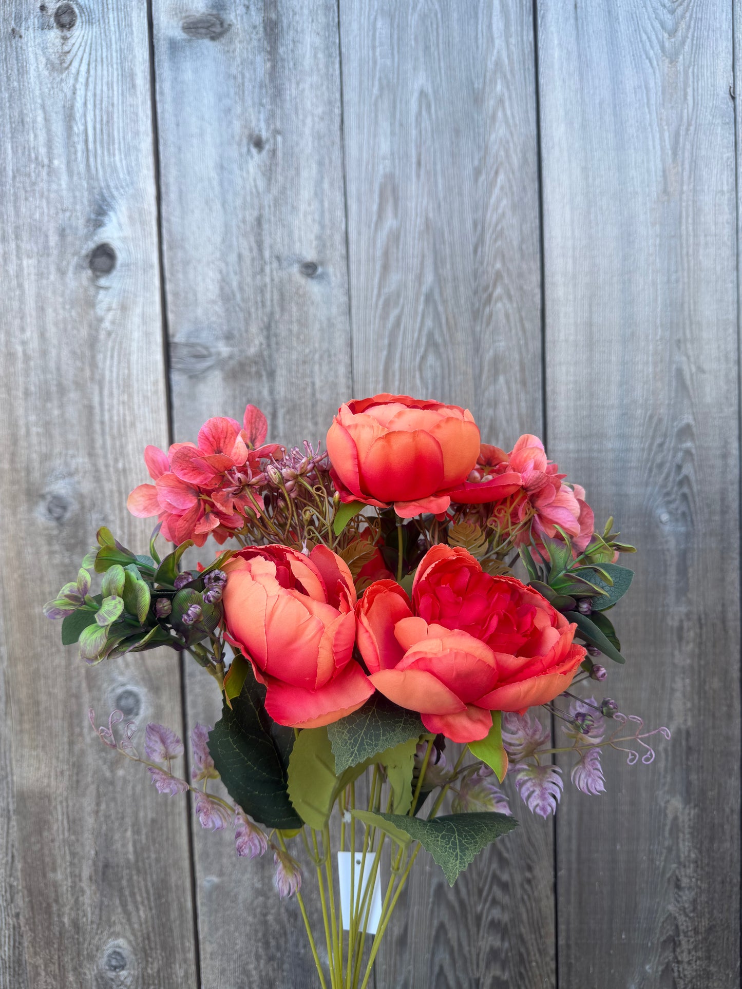 PEONY MINI PLASTIC    85431-OR