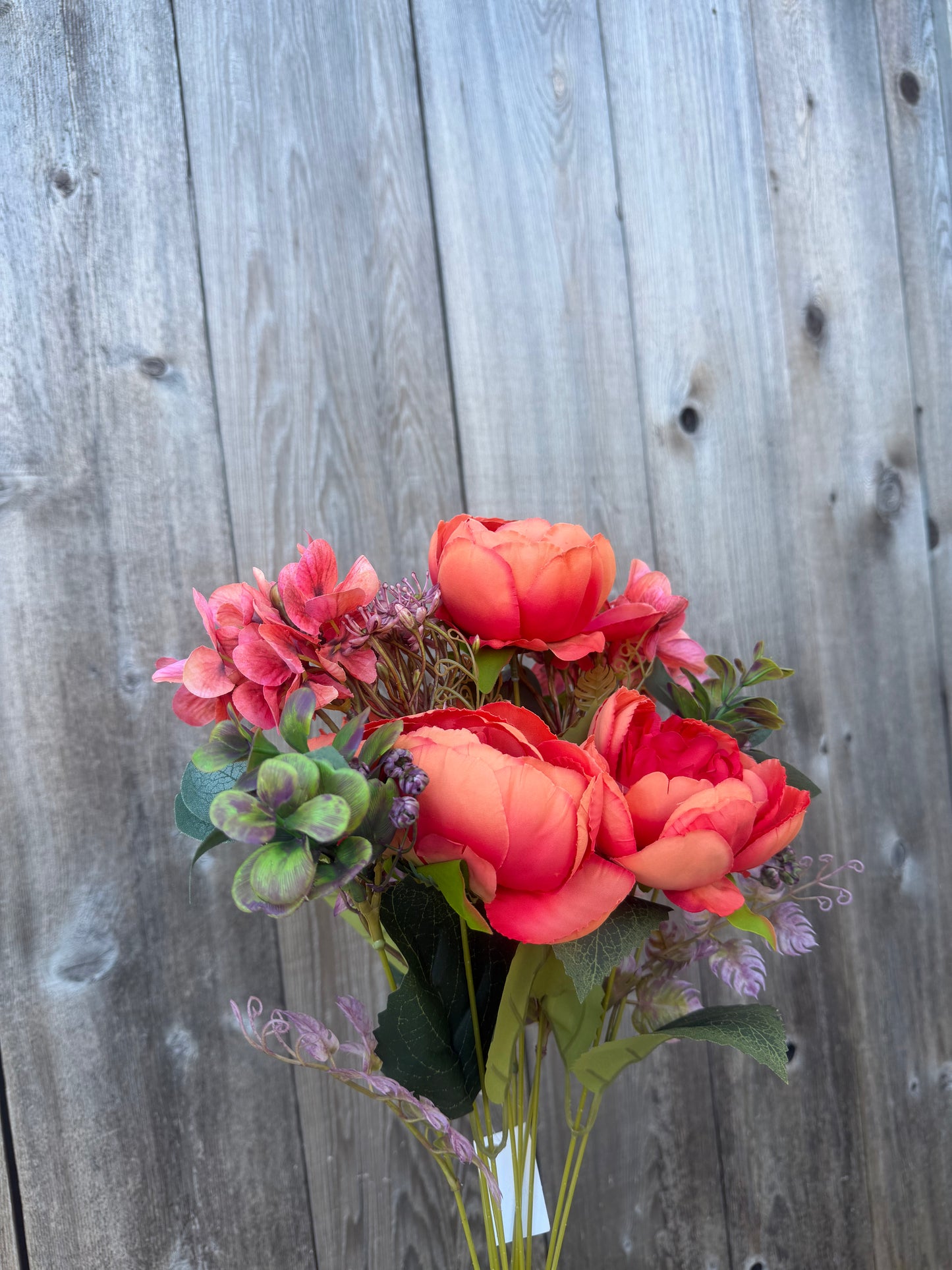 PEONY MINI PLASTIC    85431-OR