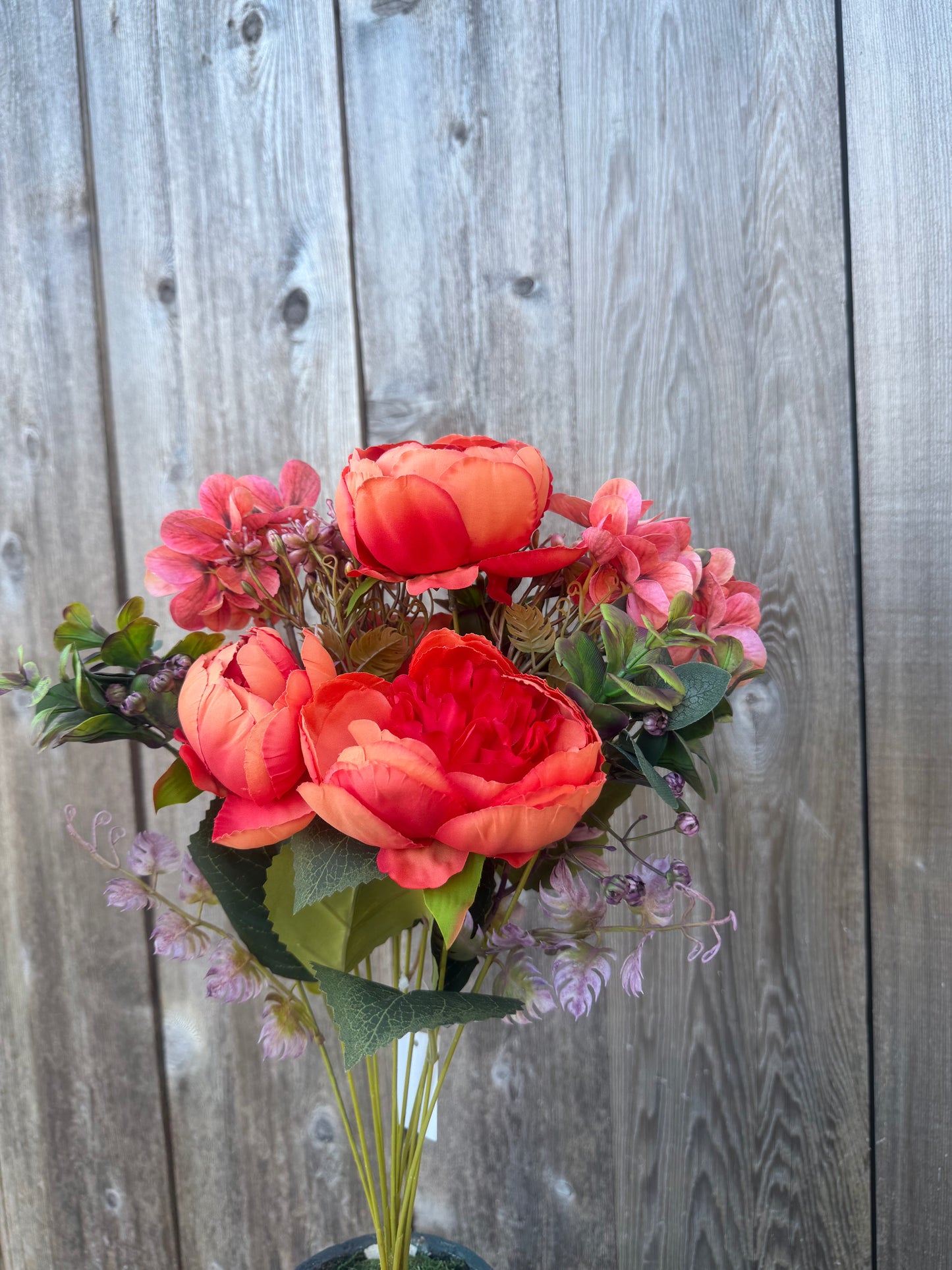 PEONY MINI PLASTIC    85431-OR