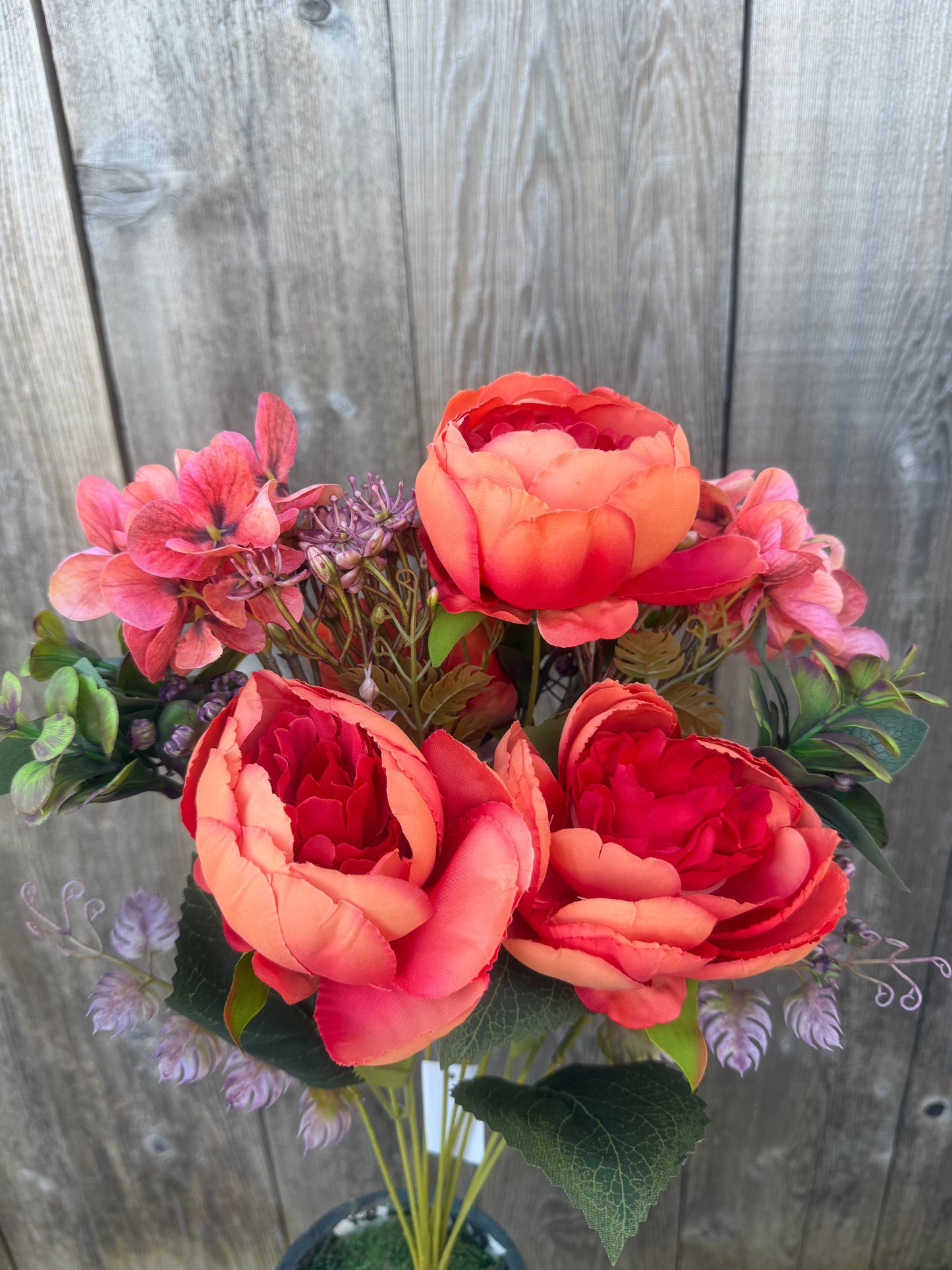 PEONY MINI PLASTIC    85431-OR