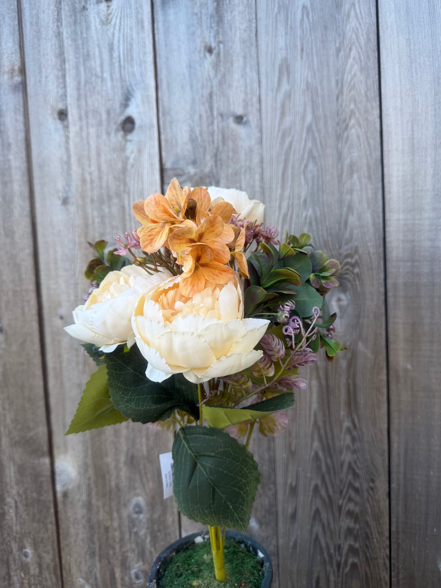 PEONY MINI PLASTIC    85431-YEL