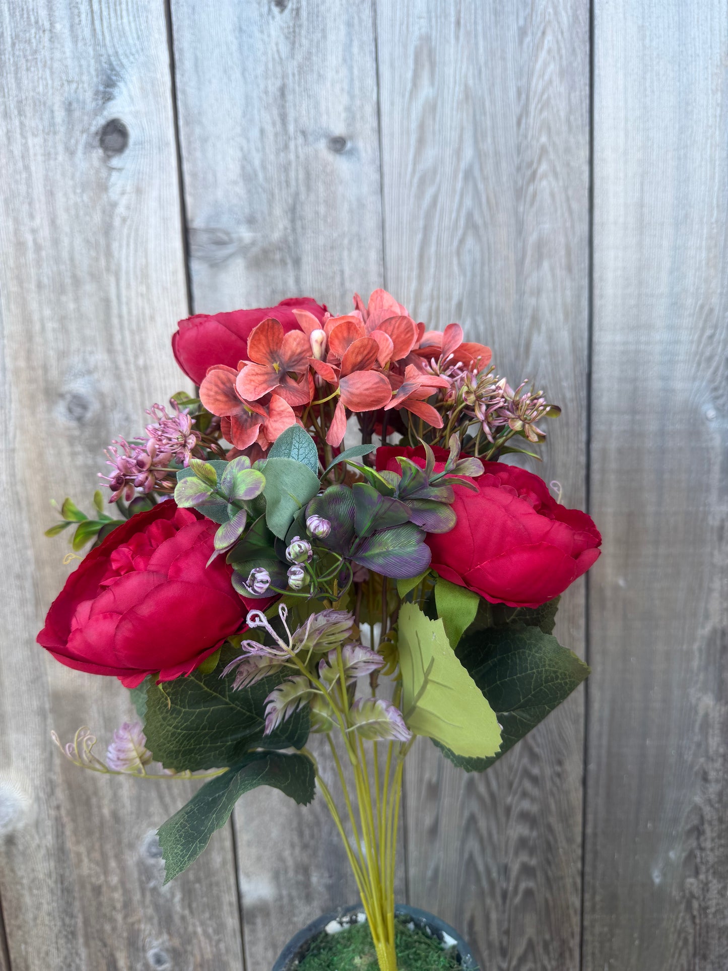 PEONY MINI PLASTIC    85431-RD