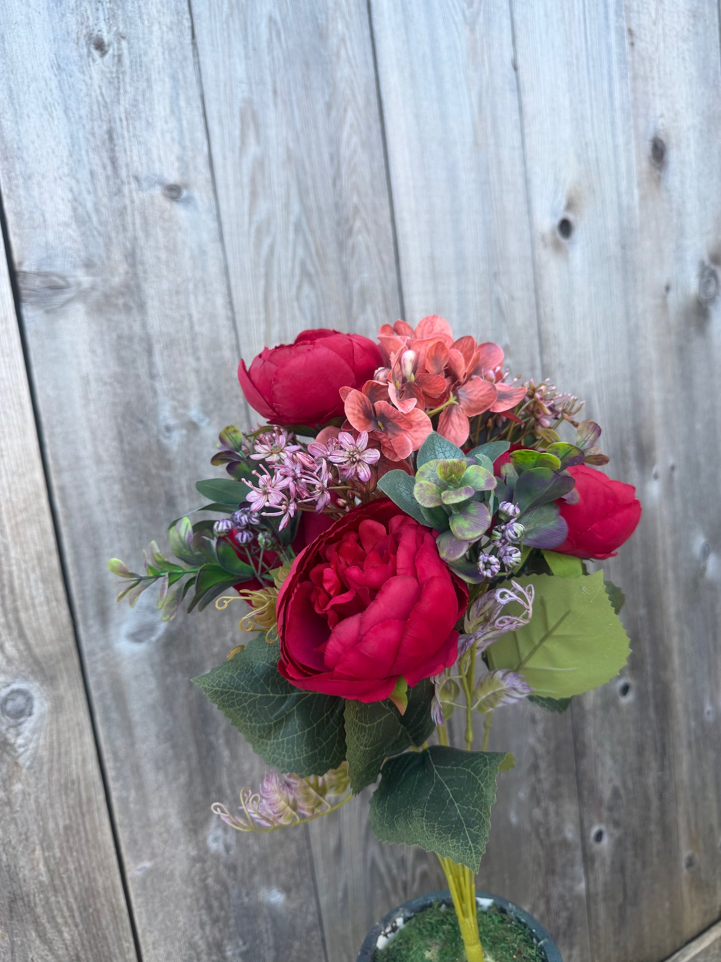 PEONY MINI PLASTIC    85431-RD